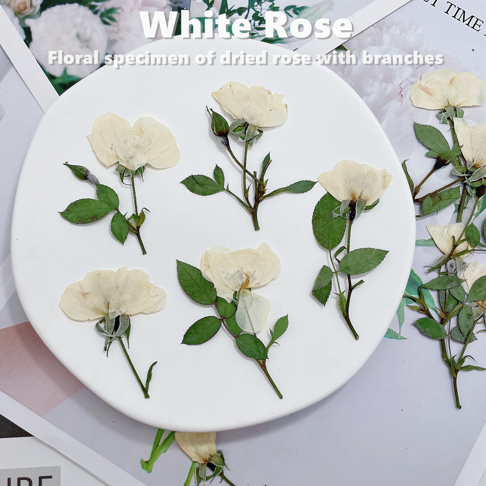12pcs, Nature White Pink Red R - Wedding Card Box review and price